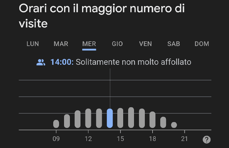 Google - esempio di grafico di stima affollamento negozio