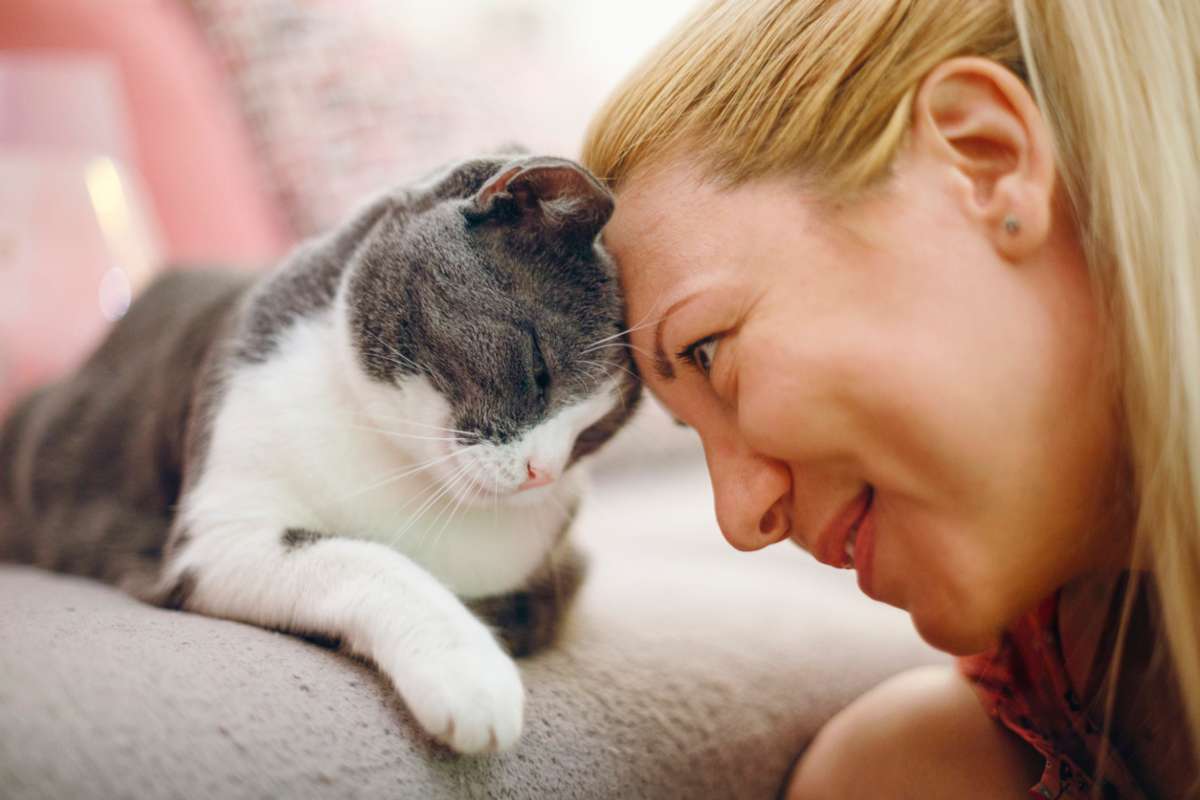 Animali domestici