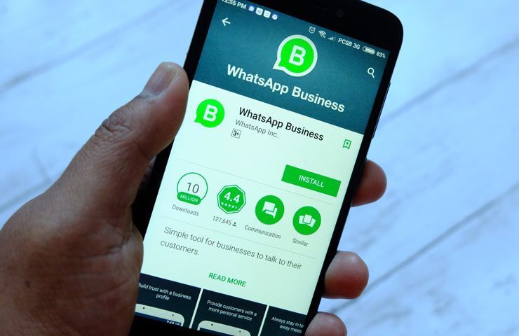 mano tiene smartphone con WhatsApp Business aperto nel Play Store