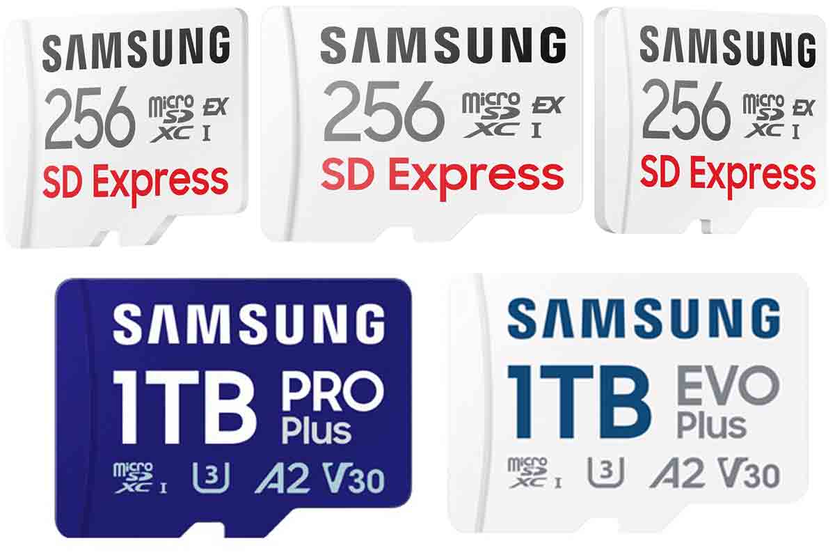 schede microSD Samsung Express da 256 GB e UHS-1 da 1 TB
