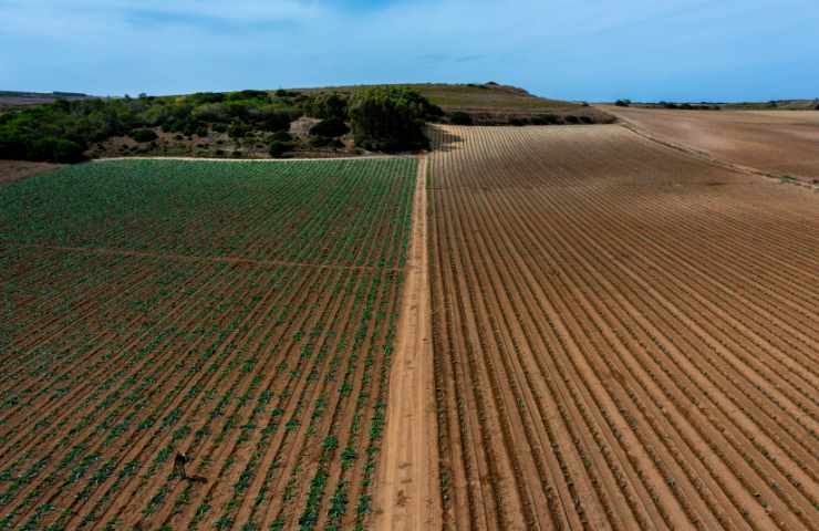 Approccio rigenerativo agricoltura 