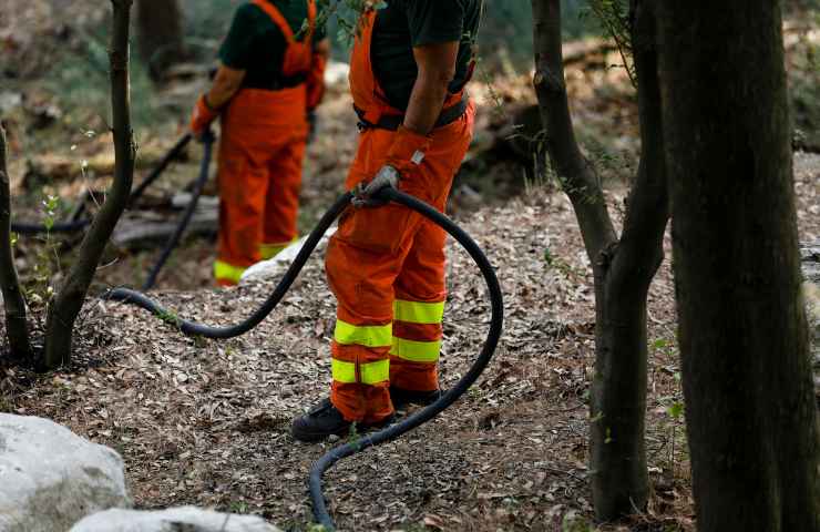 Concorso pubblico per forestale 