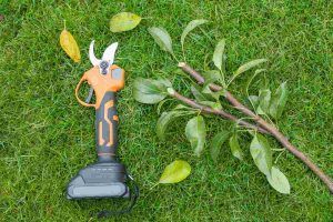 Potatori a batteria: sono questi i migliori sul mercato