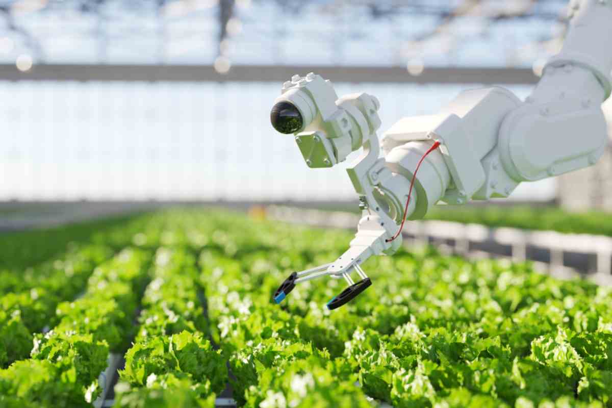 Un robot per salvare tutte le piante del mondo: ecco come