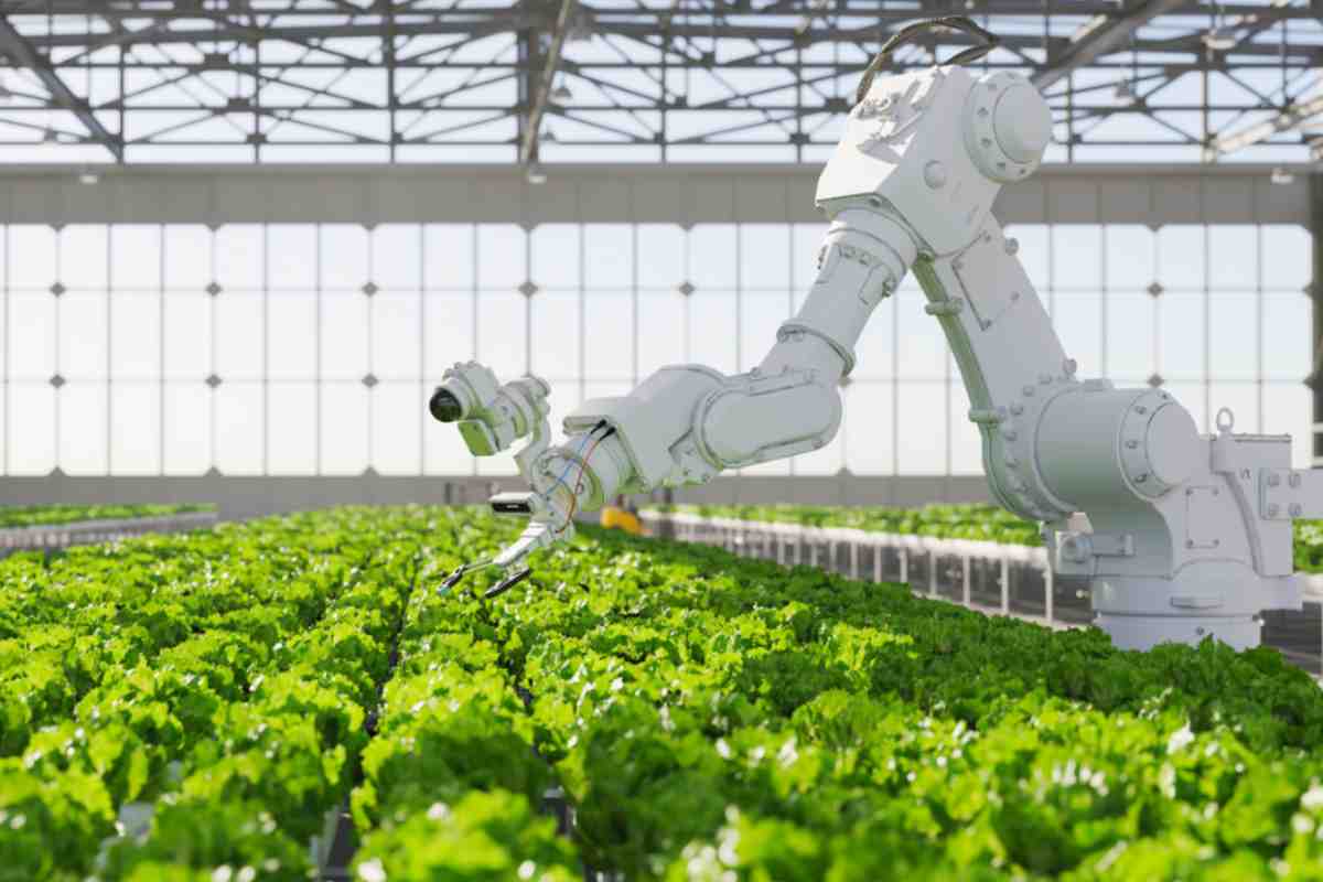 Un robot per salvare tutte le piante del mondo: ecco come
