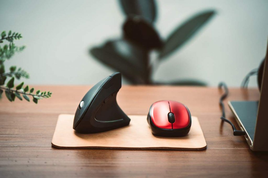 un paio di tipi di mouse