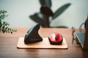 un paio di tipi di mouse