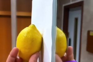 Fenomeno limone foglio e specchio