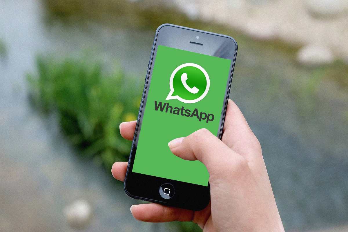 WhatsApp, novità in arrivo: cambiano grafica colori e icone