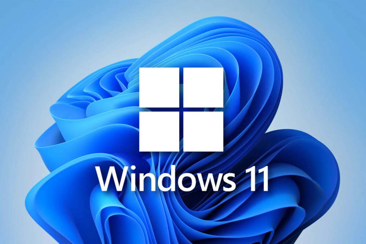 Windows 11