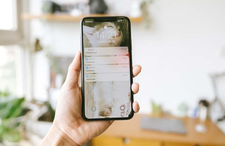 iphone rosa