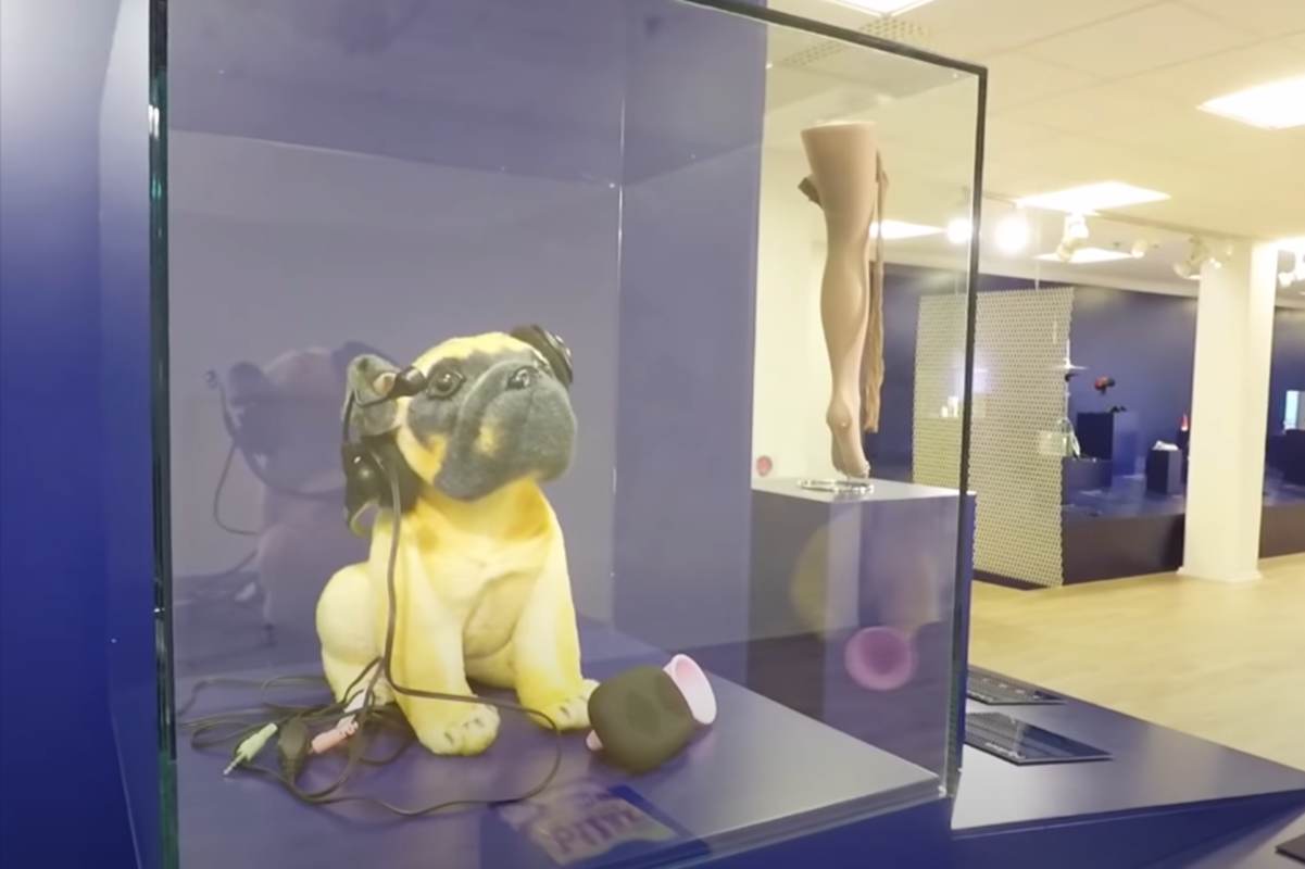 Museum of failure dove si trova